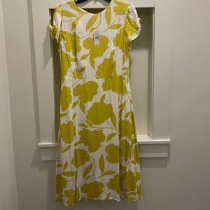 😊NWT Ann Taylor Dress - Fully Lined